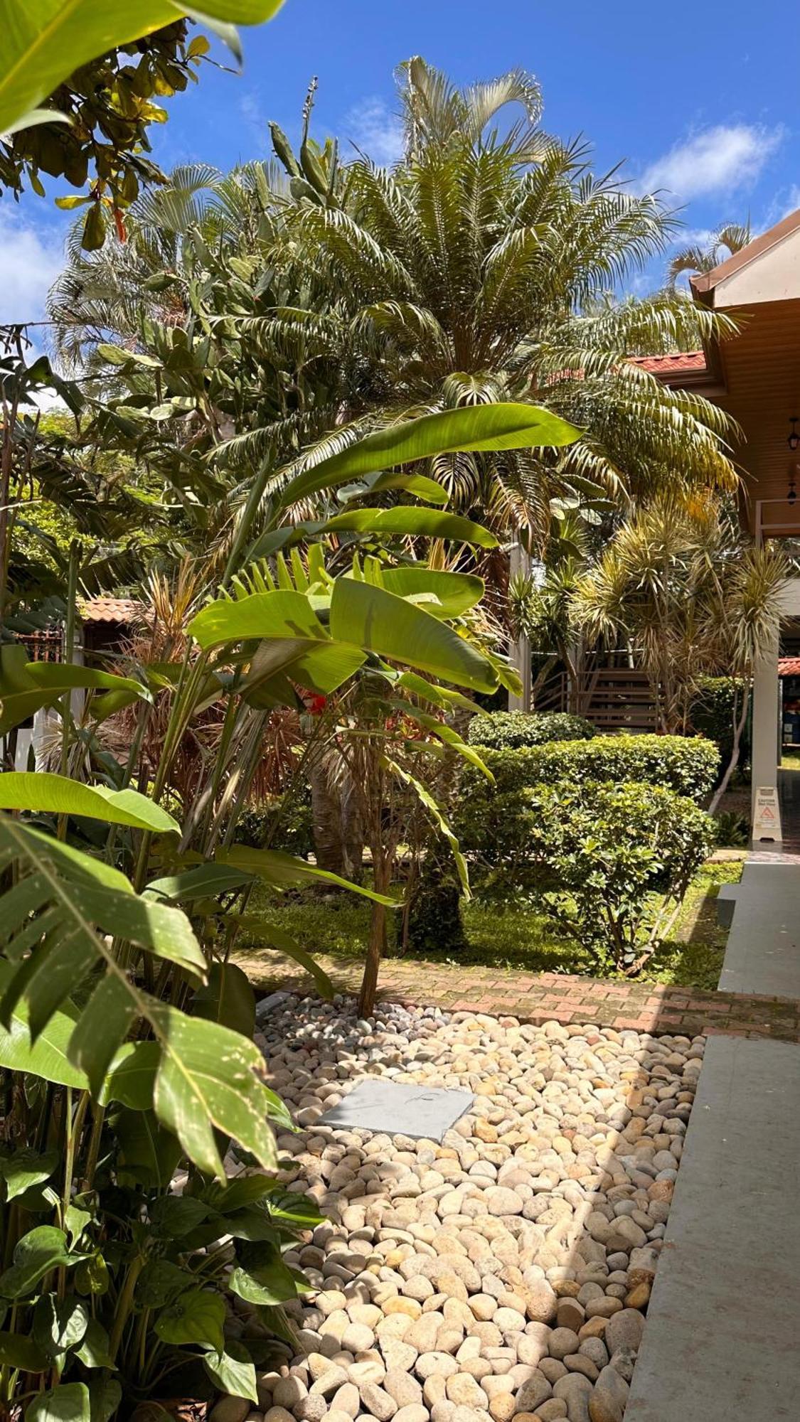Brillasol Airport Hotel Las Ciruelas  Bagian luar foto